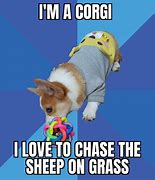 Image result for Funny Corgi Memes