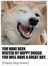Image result for Cool Doggo Meme