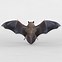 Image result for Bat 3D Wallpaper