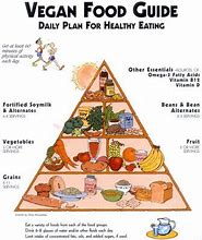 Image result for Vegetarian Food Pyramid Australia