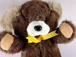 Image result for Fairview The Bear