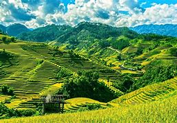 Image result for Vietnam iPhone 5