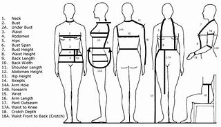 Image result for How to Measure Body Length