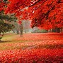 Image result for Fall Outdoor Scenes