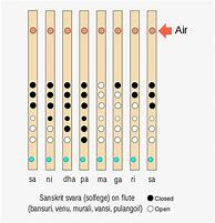 Image result for 8 Hole Flute Notes