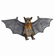 Image result for Stoft Bat Toy