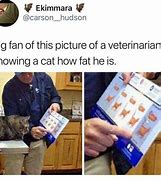 Image result for Chonker Graph
