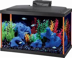 Image result for LEDApple Fish Tank