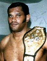 Image result for WWF Wrestling Ultimate Warrior