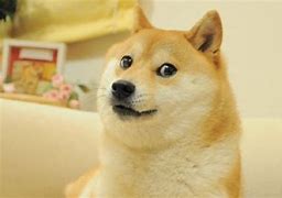 Image result for Doge Meme Dogecoin