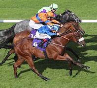 Image result for Horse Race Photo Finish