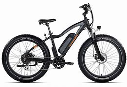 Image result for 750W Electric Bike