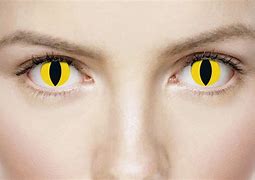 Image result for Animal Eye Contact Lenses