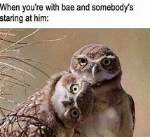 Image result for Couple Memes