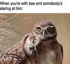 Image result for Funny New Couple Memes