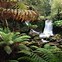 Image result for Horseshoe Falls Tasmania