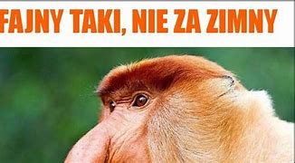 Image result for co_to_za_zimny_odczyt