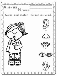Image result for Five Senses Color Sheet