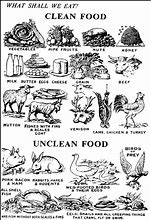 Image result for Bible and Food