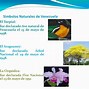 Image result for 9 Elements of Nature