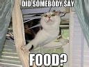 Image result for SOS Food Memes