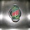 Image result for CWE Can Dew It