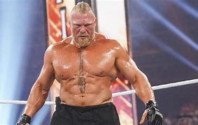 Image result for Sock Lesnar