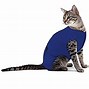 Image result for Cat Full Body Recovery