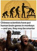 Image result for Humans Are Herre Meme Planet of the Apes