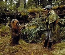 Image result for Wicket Ewok Face