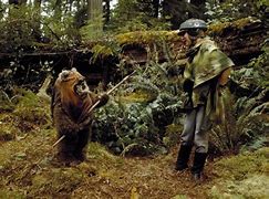 Image result for Actor of Ewok