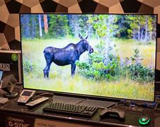 Image result for LG OLED Gaming TV