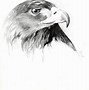 Image result for Eagle Tattoo Line Drawing