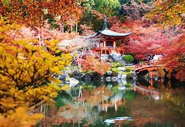 Image result for Beautiful Autumn Japan
