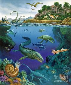 Underwater Landscape Of Cretaceous Photograph by Publiphoto