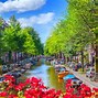 Image result for Amsterdam Business City