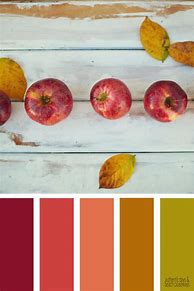 Image result for Apple Color Palette
