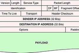 Image result for IP Packet