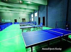 Image result for Table Tennis Floor