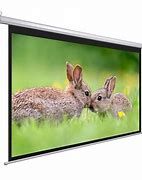 Image result for Electric Projector Screen