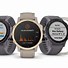 Image result for Dđồng Hồ Garmin Fenix 6s Pro