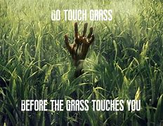 Image result for Go On Touch Grass Meme Ainme