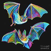 Image result for Colorful Bat Art