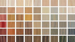 Image result for Most Popular Stain Colors