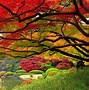 Image result for Autumn Garden Wallpaper Desktop