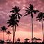 Image result for 6 Plus Sunset iPhone Wallpaper