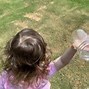 Image result for Land Air Water