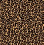 Image result for Cheetah Print Royal High