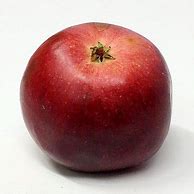 Image result for Apple wikipedia