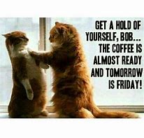 Image result for Tomorrow Is Friday Cat Meme